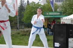 CIMG1239