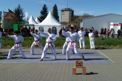 P1030221