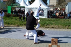 P1030246