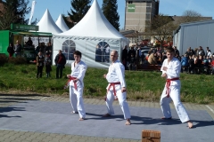 P1030247