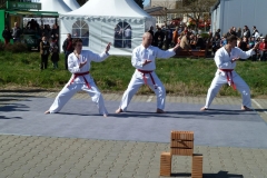P1030250
