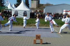 P1030256