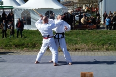 P1030270