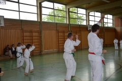 k-DSC_0059
