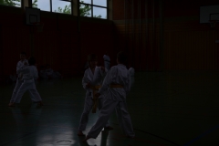 k-DSC_0096