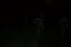 k-DSC_0102