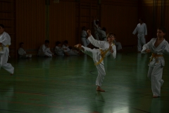 k-DSC_0103