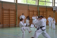 k-DSC_0119