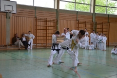 k-DSC_0131