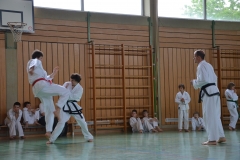 k-DSC_0212