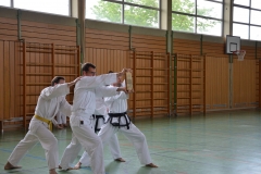 k-DSC_0236