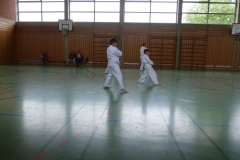 k-P1020410