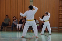 k-P7300014