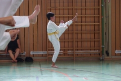 k-P7300116