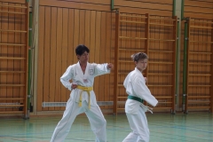 k-P7300266