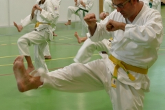 k-P1000502