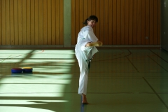 k-P1030651