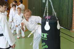 k-P1120113