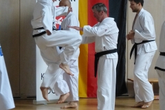 P1140226