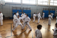 IMG-20221031-WA0041