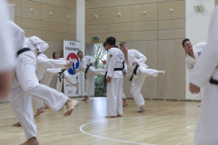 EKF2819