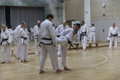 EKF2936
