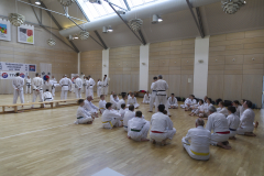 EKF2954