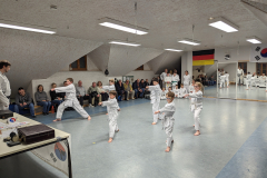 PXL_20240124_171424116