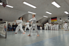 PXL_20240124_172839728