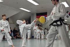 PXL_20240124_174517365.MP_