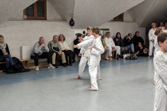 PXL_20240124_174911760.MP_