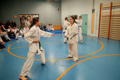 k-IMG_20241121_192628