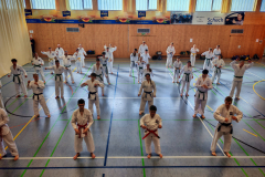 IMG_20250406_101817