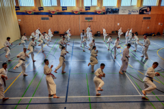 IMG_20250406_101823