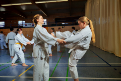 IMG_20250406_102718