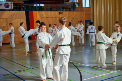 IMG_20250406_102837