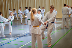 IMG_20250406_102842