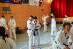 IMG_20250406_103205