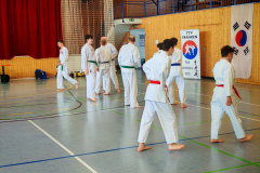 IMG_20250406_103213