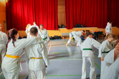 IMG_20250406_103229