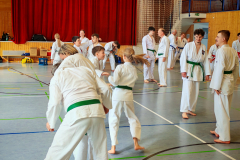 IMG_20250406_103249