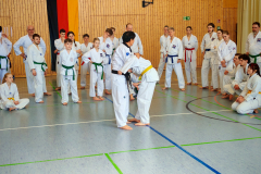 IMG_20250406_103707