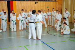 IMG_20250406_103750