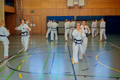 IMG_20250406_103825