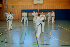 IMG_20250406_103825_1