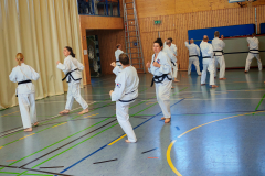 IMG_20250406_103833