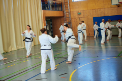IMG_20250406_103846