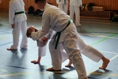 IMG_20250406_104816