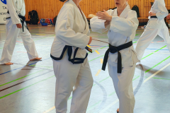 IMG_20250406_104930