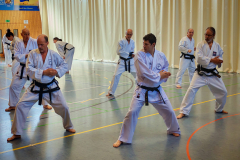 IMG_20250406_105234